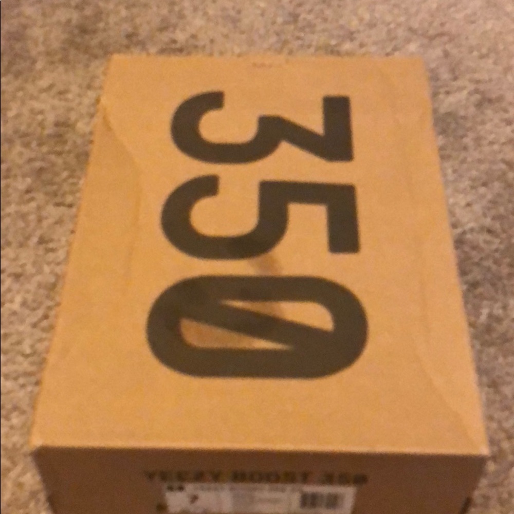 Adidas Yeezy Boost 350 - Picture 6 of 8